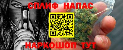амф Гусев
