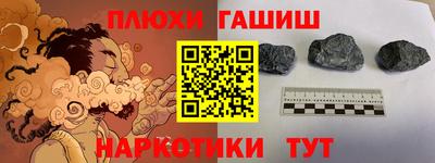 амф Гусев
