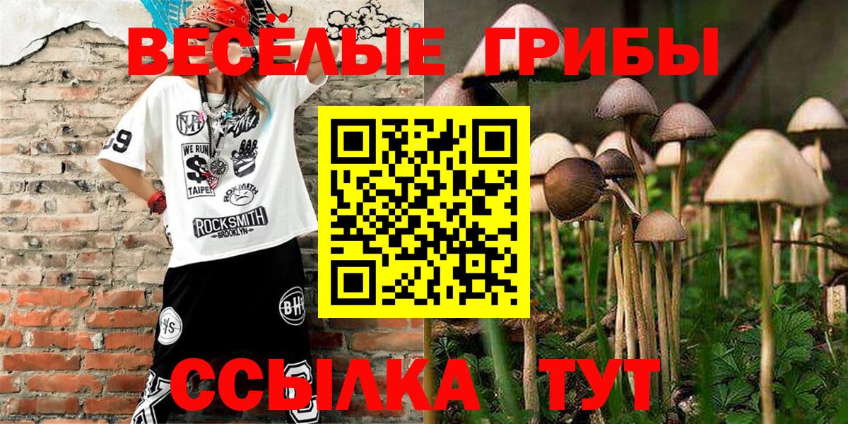 магазин продажи   Галлюциногенные грибы прущие грибы  Вход с VPN  Михайловск 