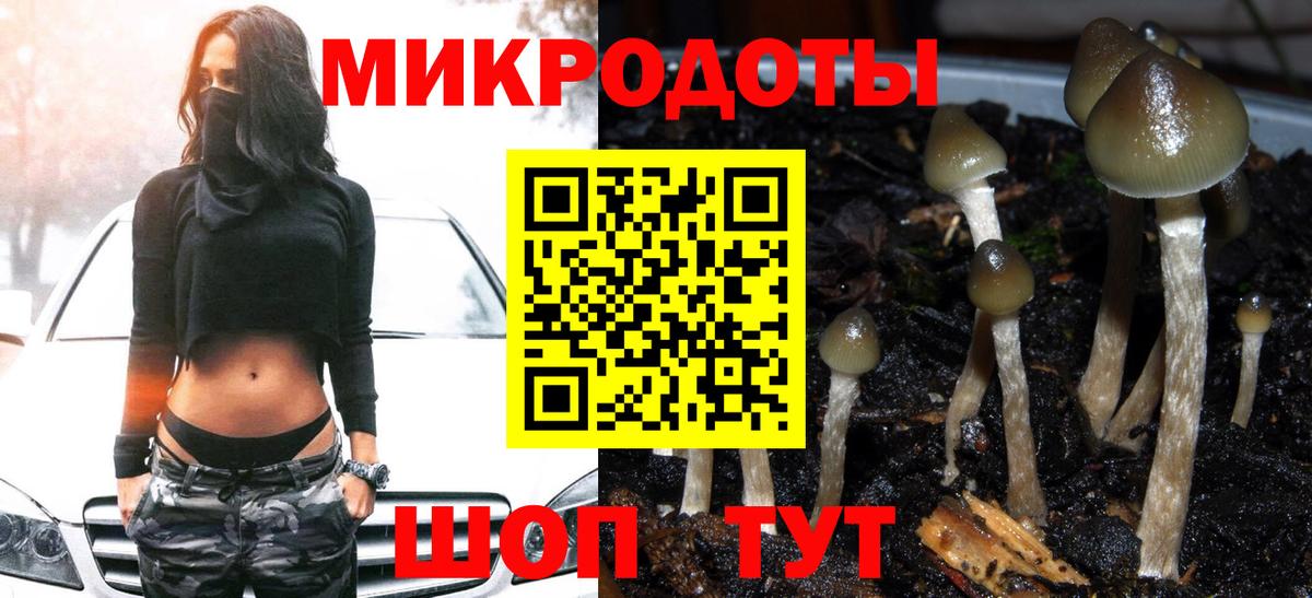 Галлюциногенные грибы прущие грибы Михайловск